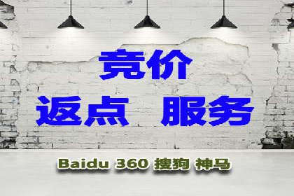 SEM搜索引擎优化成功案例，揭示优化策略与技巧